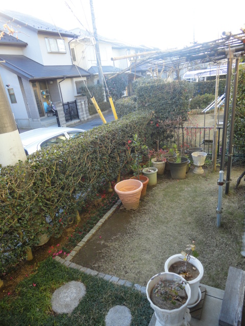 Garden. Since there is also a garden, Garden training is also available in everyone