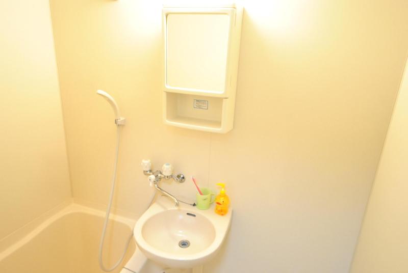 Washroom. Model room implementation in