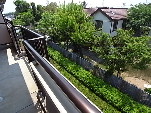 Balcony. Veranda