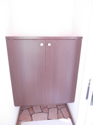 Entrance. Shoe box