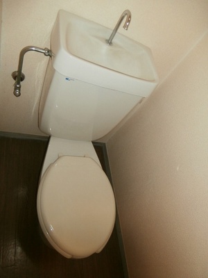 Toilet. Toilet