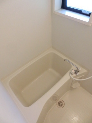 Bath. Bathroom with daylight