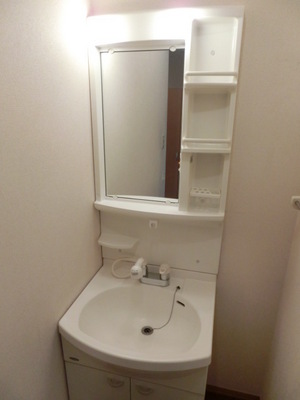 Washroom. Shampoo dresser