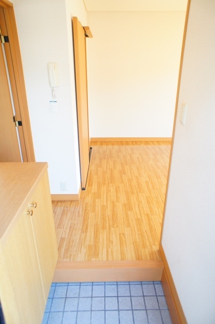 Entrance. Otherwise, it is the room photo