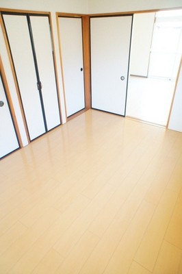Living and room. Room from another angle