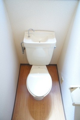 Toilet. Spacious toilet