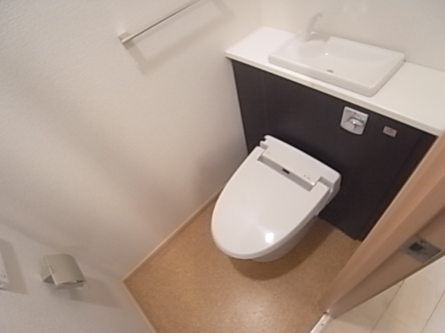 Toilet. With Washlet.