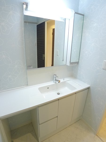 Washroom. Bathroom Vanity