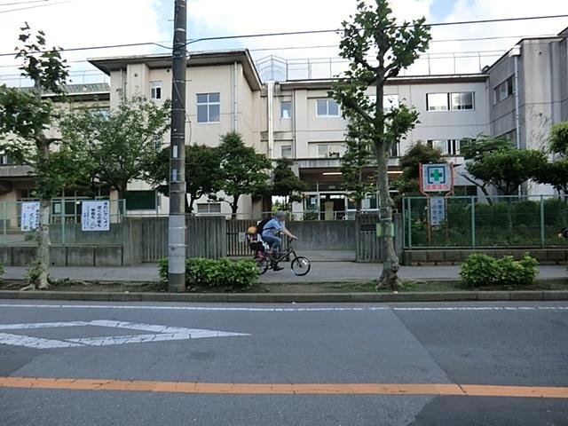 Primary school. Kashiwashiritsu pine needle second elementary school