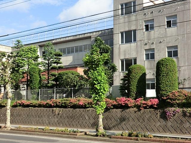 Junior high school. Kashiwashiritsu pine needle junior high school