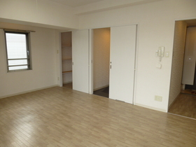 Living and room. Spacious Western-style 13 Pledge