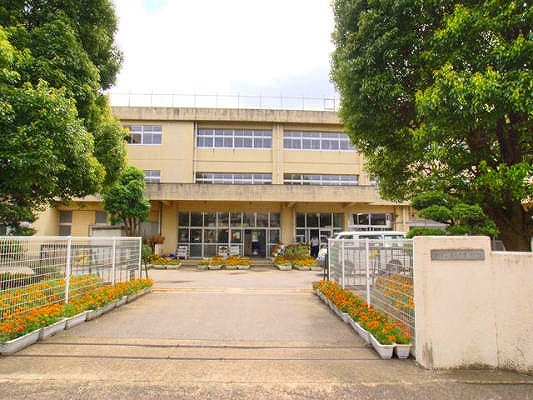 Primary school. Kashiwashiritsu Sakaine 250m to Small (elementary school)