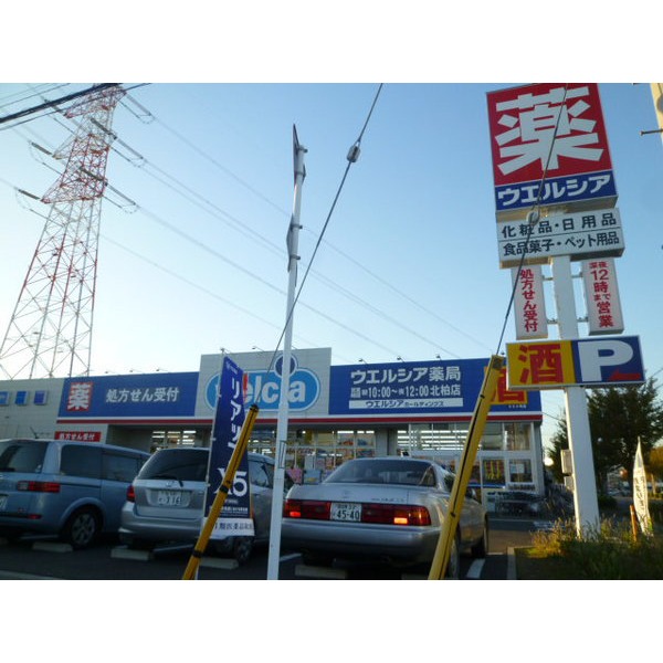 Dorakkusutoa. Uerushia Kitakashiwa shop 76m until the (drugstore)