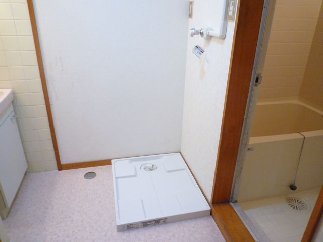 Other room space. Laundry Area