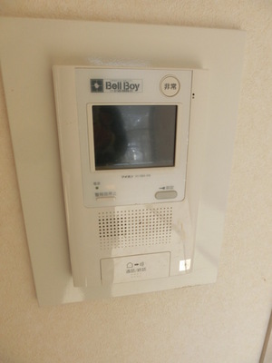 Security. TV Intercom