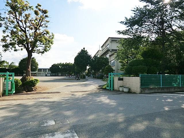 Primary school. Kashiwa TatsuKashiwa eighth elementary school