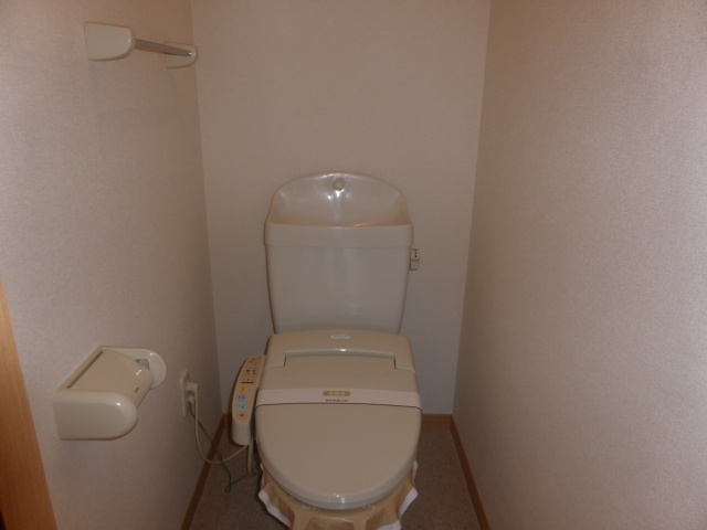 Toilet. It will be warm water washing toilet seat.