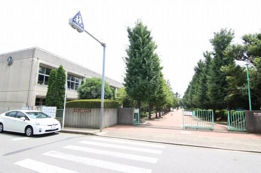 Junior high school. 1069m to Kashiwa City Takayanagi junior high school