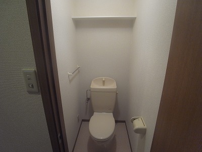 Toilet. Clean toilet with a shelf