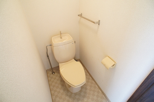 Toilet. It is a photograph of another room.