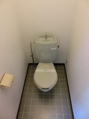 Toilet. Toilet