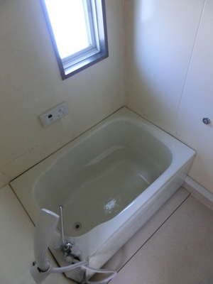 Bath. Bathroom with daylight