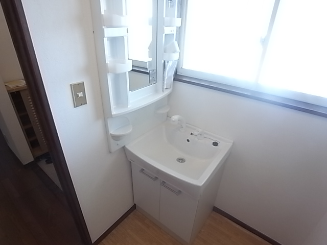 Washroom. Bathroom Vanity