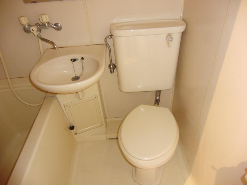 Toilet. Beautiful toilet.