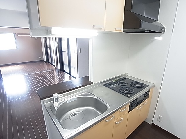 Kitchen. Kitchen