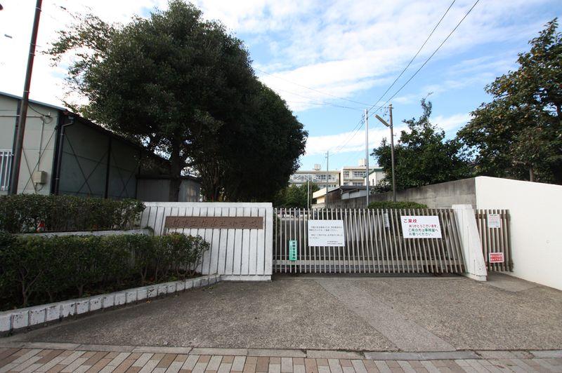 Primary school. Kashiwa TatsuKashiwa 600m until the fifth elementary school