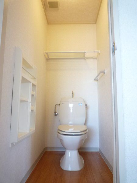 Toilet. It is a photograph of another room