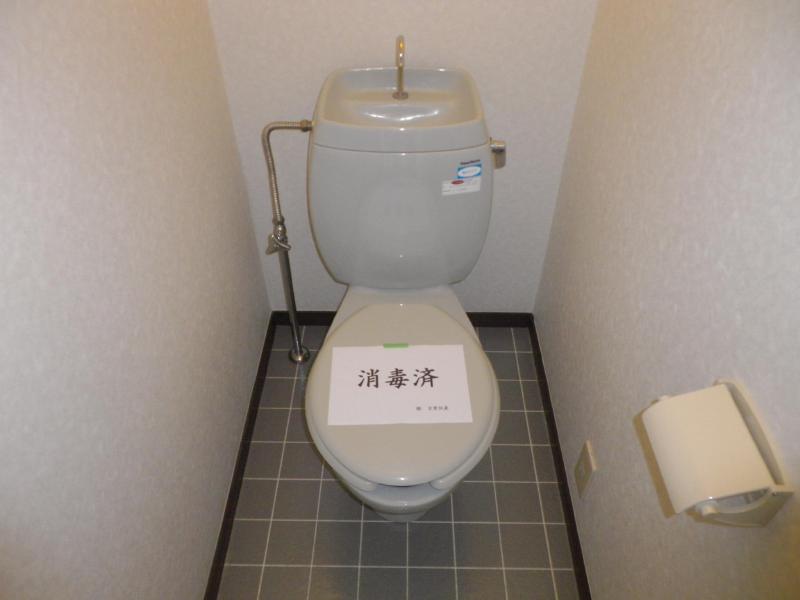 Toilet. Spacious spacious restroom