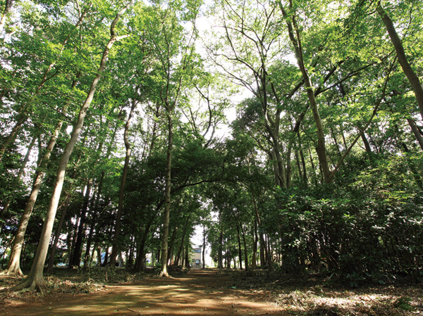 Surrounding environment. No. 17 Toyoshiki first green space (about 710m / A 9-minute walk)