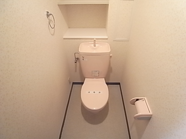 Toilet. Toilet with a shelf at the top