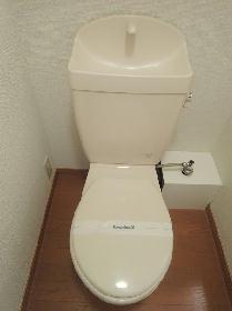 Toilet. Western-style toilet