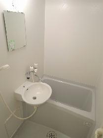 Bath. Basin integrated bathroom