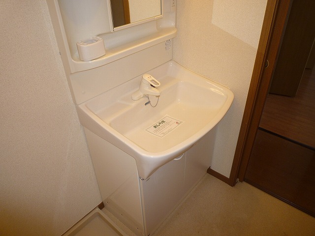 Washroom. Large independent wash basin.