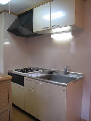 Kitchen. System K with a two-burner gas stove