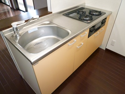 Kitchen. System kitchen gas 3-neck with grill. Popular face-to-face kitchen.