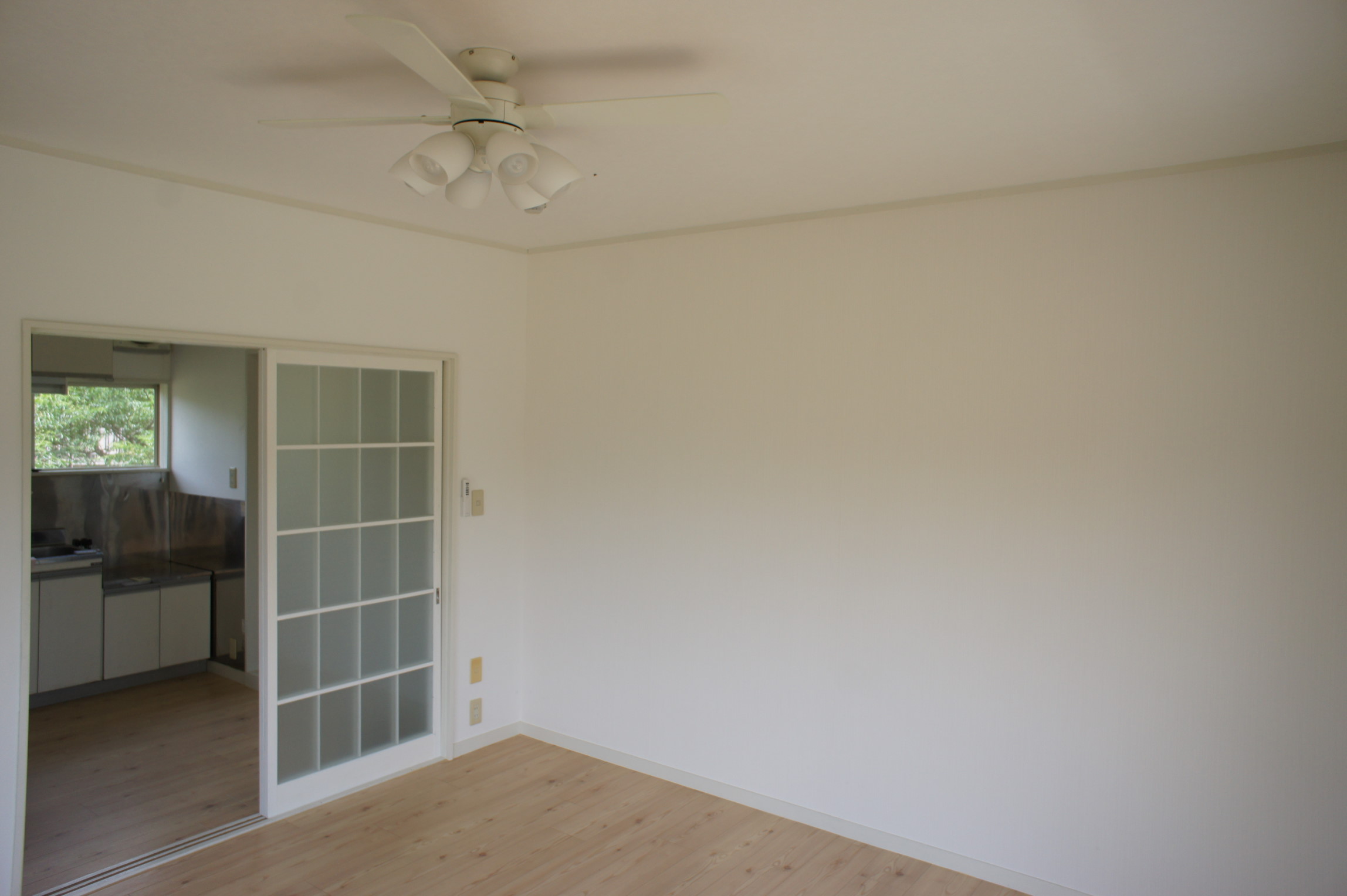 Living and room. Ceiling fans with lighting