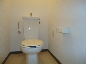 Toilet. Toilet in the power points Available. Woshuretto can be installed!