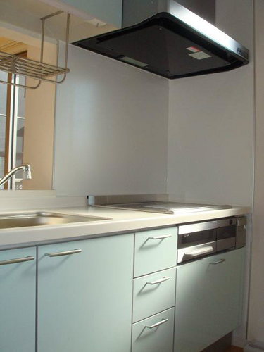 Kitchen. IH system kitchen with cooking heater