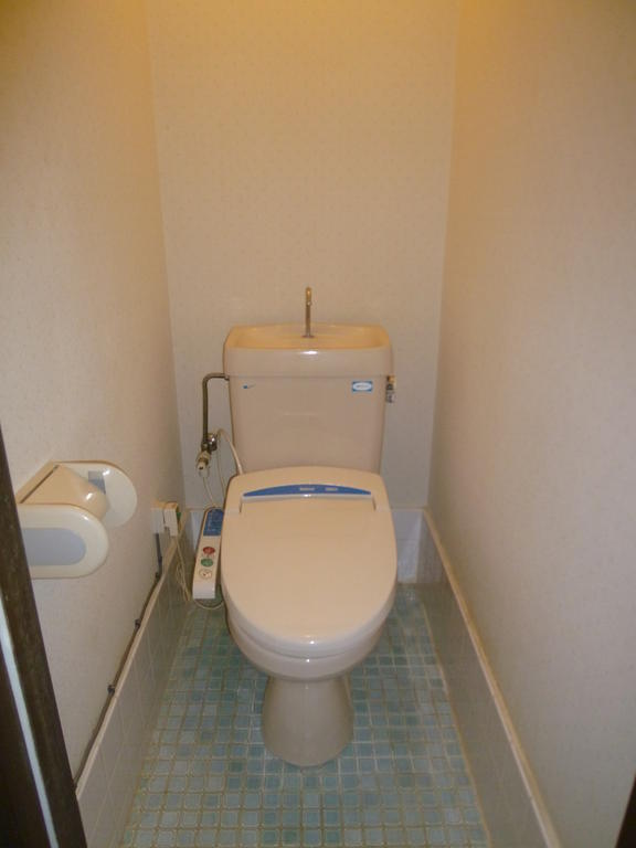 Toilet. Restroom with bidet!