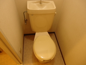 Toilet. Toilet in the spacious Yoo