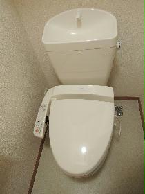 Toilet. Hot water with cleaning