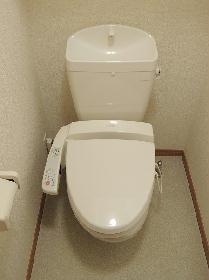 Toilet. With warm water washing toilet seat function