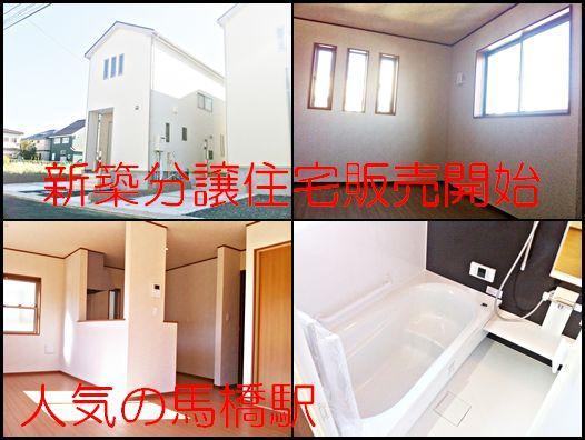 Other. ~ New subdivision home sales start ~