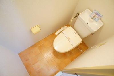 Toilet. Comfortable warm water washing toilet seat