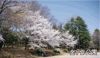 park. 670m until Kanegasaku park