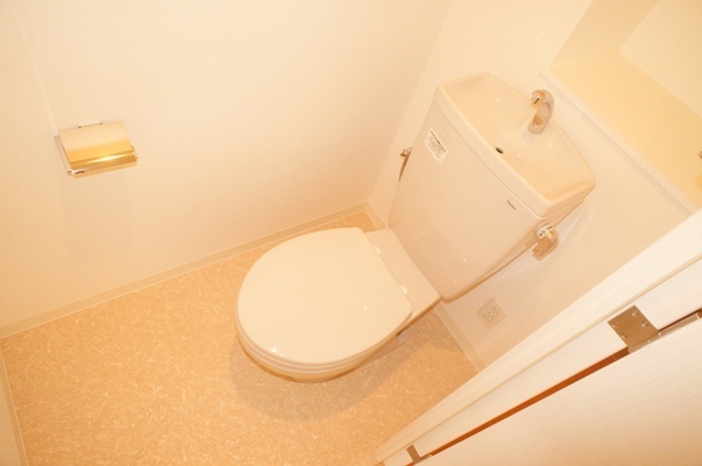 Toilet. The room is a picture